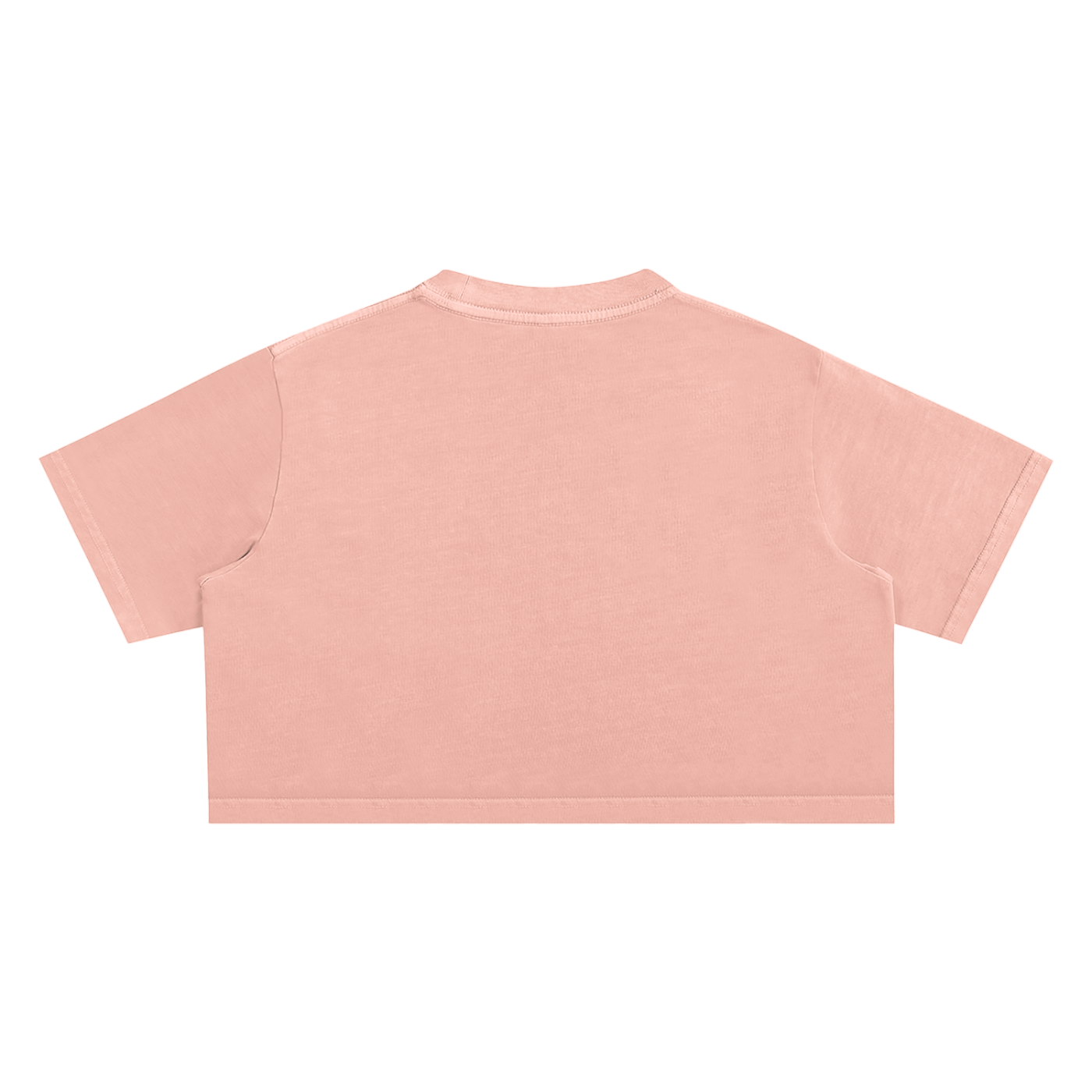 Trivia But Good Snow Washed Crop Top
