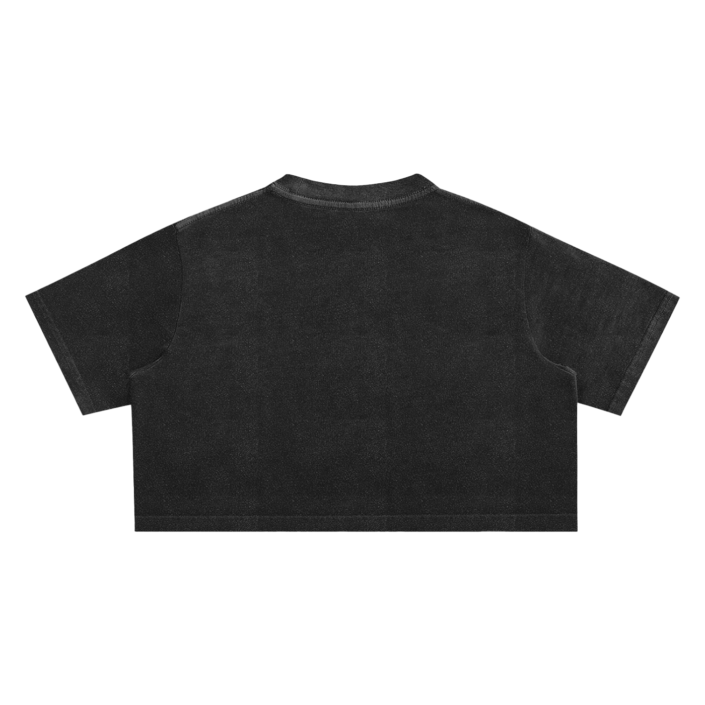 Trivia But Good Snow Washed Crop Top