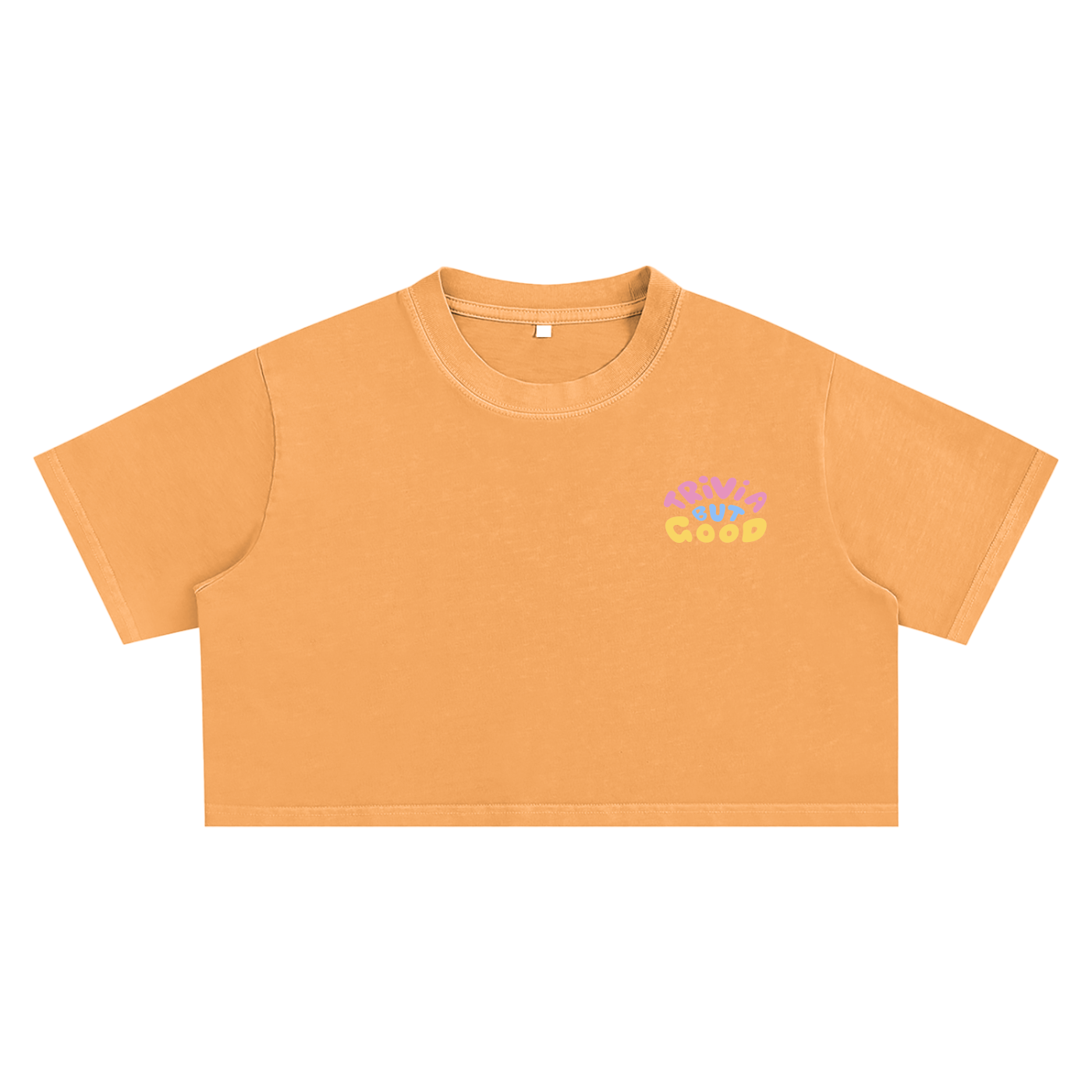 Trivia But Good Snow Washed Crop Top