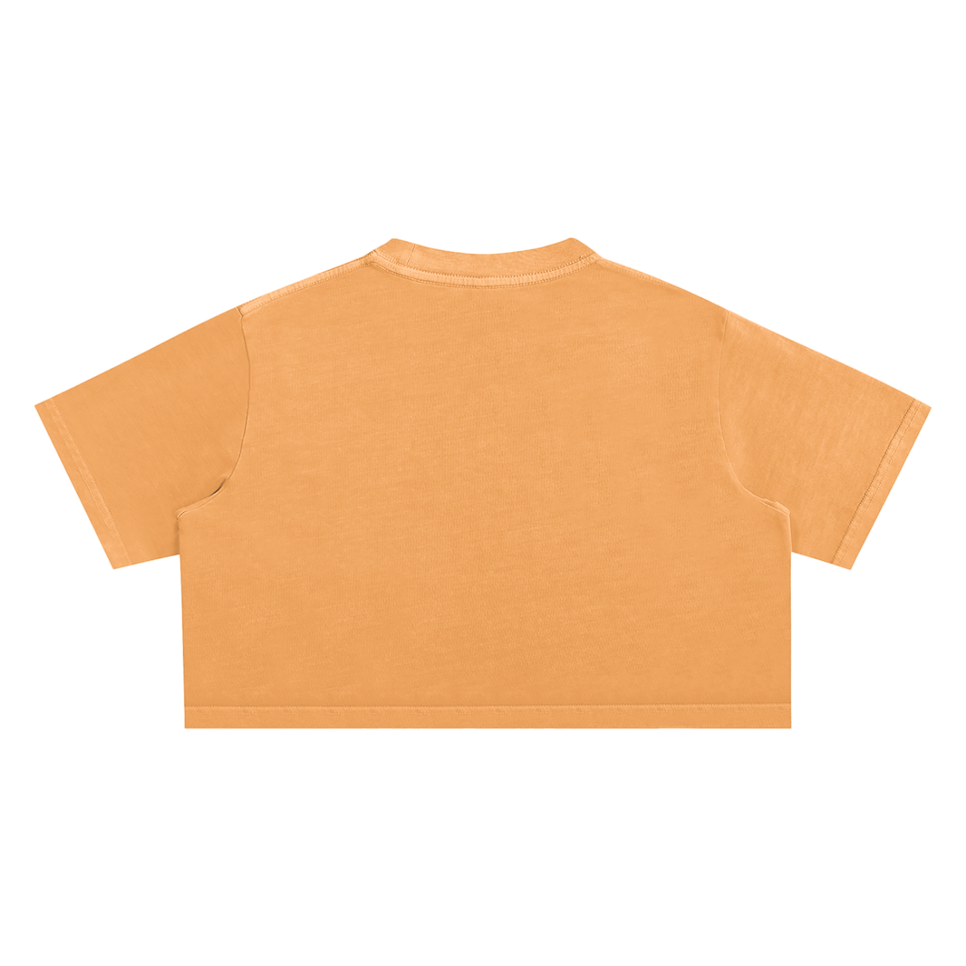 Trivia But Good Snow Washed Crop Top